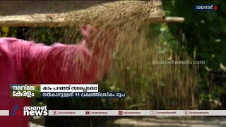 കർഷകർക്ക് നെല്ലിന്റെ വില നൽകാതെ സപ്ലൈക്കോ |Wayanad | Farmers | Supplyco