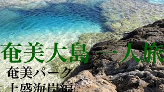 奄美大島１人旅③ー奄美パーク・土盛海岸編ー