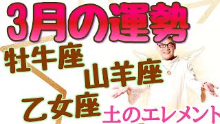 【星座✖︎タロット】山羊座・牡牛座・乙女座：土のエレメントは3月は？【占い】