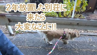 2年近く放置した別荘に来たら大変なことになっていた。リアルタイム動画。