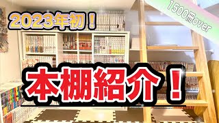 【本棚紹介】一人暮らし就活生による2023年初の本棚紹介！！