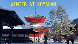 Snowy walk at Koyasan, Wakayama 高野山 4K Daimon to Kondo 大門～金堂 - Walking in Japan (Mount Koya)