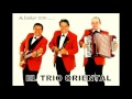 EL TRIO ORIENTAL (enganchados bailables)