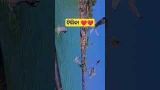 ମା କାଳିଜାଇ _short video _🙏🙏