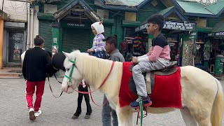 SILIGURI TO DARJEELING ON ROAD