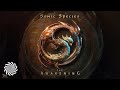 Sonic Species & Divination - Feels Like Home