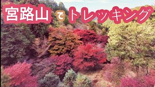 【愛知県豊川市】宮路山でレンと紅葉をたのしむ