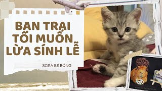 [Truyện Audio ] [FULL] BẠN TRAI TÔI MUỐN LỪA SÍNH LỄ || Sora Bé Bỏng