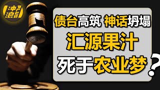 【中国商业史40】上集：靠玩“空手道”起家，创始人沉迷种果树，从“民族品牌”沦为“资本弃子”，汇源果汁还有救吗？