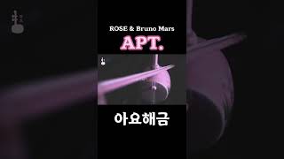 ROSÉ \u0026 Bruno Mars - APT. 해금연주