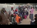 EFF offers buses to Zim voters based in SA
