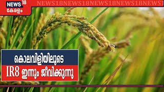 'ഐ ആർ എട്ടിന് വളമാക്കും'; നെല്ല് കാലഹരണപ്പെട്ടെങ്കിലും മുദ്രാവാക്യങ്ങളിൽ മാറ്റമില്ല