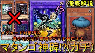 【遊戯王マスターデュエル】メタ対策に入れたマタンゴがフィールドを制圧⁉神碑の欠点を活かした『マタンゴ×神碑(ルーン)』の解説＆実践＆構築【ゆっくり解説】【Yu-Gi-Oh! Master Duel】