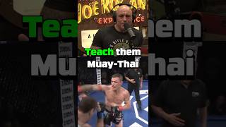 Joe Rogan On Muay Thai