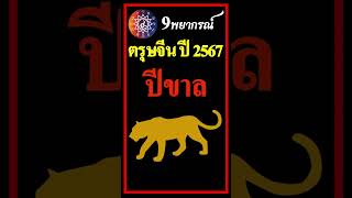 ปีขาล / ดวงหลังตรุษจีน ปี2567 #ปีขาล #ดวง #ดูดวง #ทำนายดวงปี 2567 #ดวงชะตาปี 2567