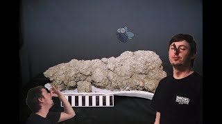 Coprolite