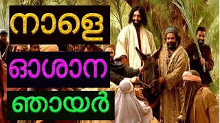 ഏപ്രിൽ 2 നാളെ ഓശാന ഞായർ #April 2nd oshana njayar #palm Sunday song Malayalam 2023