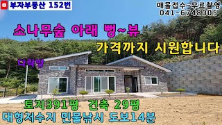 [물건번호 152번] 소나무숲아래 막힘없는 뷰~~  넓은 토지(391평)에 구조 잘빠진 신축전원주택입니다.  영상에서 매매가격 확인하세요!!  시원한 가격으로 매매합니다.