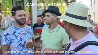 Desgarrada 👉Celorico de Basto 🪗Pedro Cachadinha 🎤Cantares ao Desafio 🥁 Festa de Santa Marta Falperra