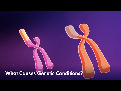 Which factor would most likely disrupt genetic?