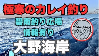 大野海岸　極寒のカレイ釣り　碧南釣り広場情報あり　2025.2.9