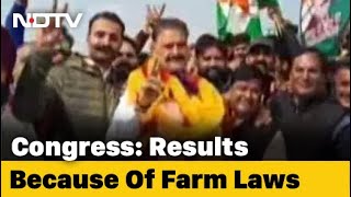 Big Win For Congress In Punjab Local Elections
