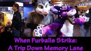 When Furballs Strike: A Trip Down Memory Lane