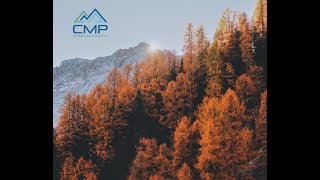 Who is CMP?