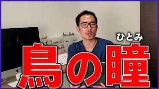 【鳥】オカメインコの瞳について教えてください。片目の下瞼が垂れていて瞬膜がわずかに見えています。赤みなどはないです。個性なのか病気なのか教えて下さい。#122