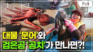 [Full] 한국기행 - 밥상 위의 겨울 제1부 문어가 곰치를 만났을 때