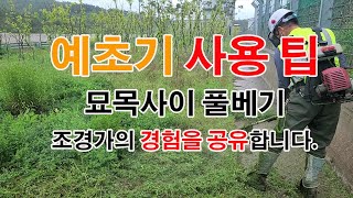 예초기를 사용하여 묘목사이 제초작업 기막힌 팁