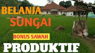 Jual Sawah Mertua Banyak Airnya #sawahterasering #sawahmurah #sawah #sawahmurah #cigudeg