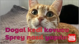 Dogal yolla kedi kovucu sprey nasıl yapılır?