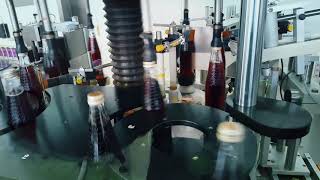 STM complete filling line for carbonated soft drinks in glass bottles – speed 8000 bph