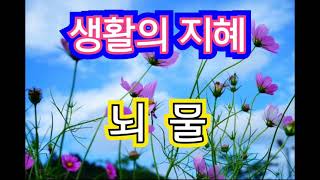 80대유튜버 하루 #shorts 생활의지혜 뇌물