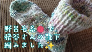 【猪谷さんの靴下🧦】素敵すぎる✨野呂毛糸で、2本どり😳