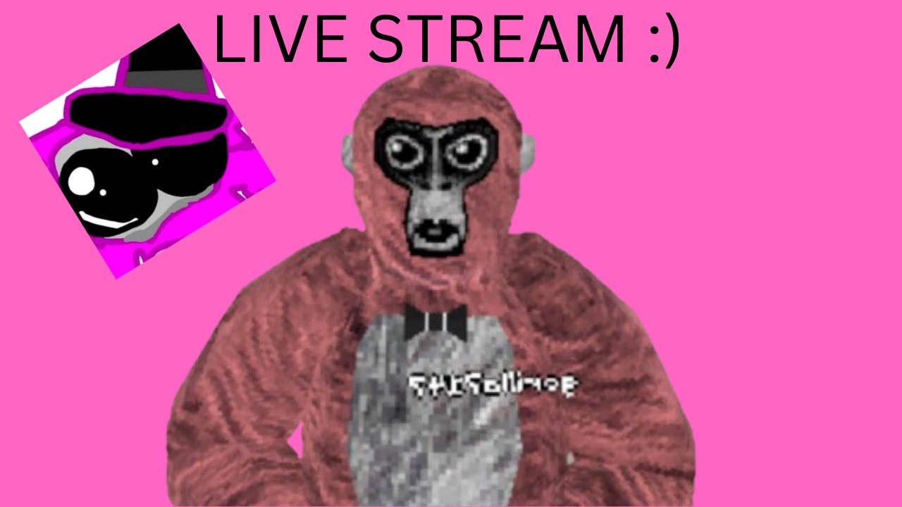 Gorilla Tag Live Youtube