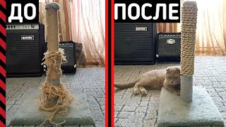 РЕСТАВРАЦИЯ / РЕМОНТ КОГТЕТОЧКИ / ЦАРАПКА ДЛЯ КОШЕК ДО И ПОСЛЕ