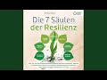 Kapitel 10.3 & Kapitel 11.1 - Die 7 Säulen der Resilienz: Wie Sie mit den Powermethoden eiserne...