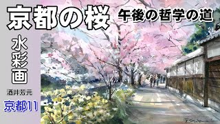 京都の桜　午後の哲学の道　水彩画　酒井芳元