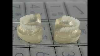 1/10miniature denture めっちゃ小さい入れ歯達