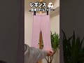 【レギンス】早い‼️簡単スチームアイロン♪初心者でも大丈夫