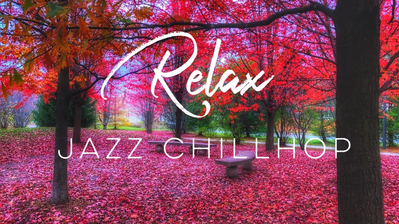 Jazz Chillhop Lofi Hip Hop Beats To Relax And For Work Study