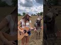 a donkey enjoying music