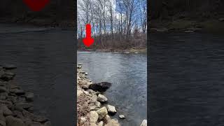 Where Do You Find Trout In A River