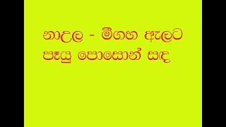 naula poson 2019 06 17 - with udarata news - නාඋල මීගහඇලට පෑයු පොසොන් සද