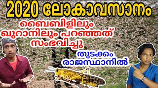 വെട്ടുക്കിളി ഇന്ത്യയിൽ എത്തി| Locust attack explained| locust attack india| malayalam|BodhiTechTalks