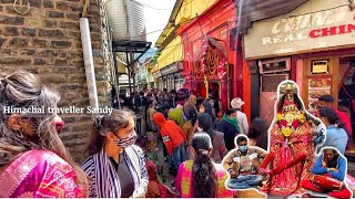 Shimla शिवरात्रि और भोलेनाथ के दर्शन | Middle Bazaar | Kalibaari