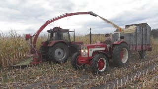 2022 PZ chopping corn