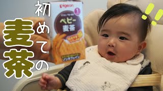 【生後5か月赤ちゃん】人生初の麦茶に挑戦！その反応は？【離乳食準備】